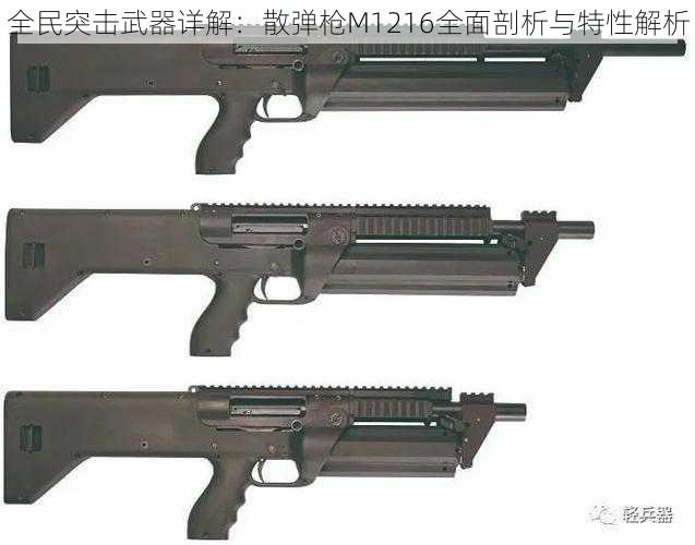 全民突击武器详解：散弹枪M1216全面剖析与特性解析