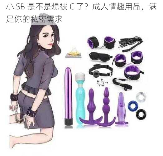 小 SB 是不是想被 C 了？成人情趣用品，满足你的私密需求