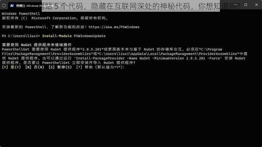 神秘网站 5 个代码，隐藏在互联网深处的神秘代码，你想知道吗？