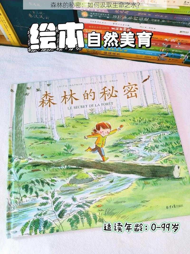 森林的秘密：如何汲取生命之水？