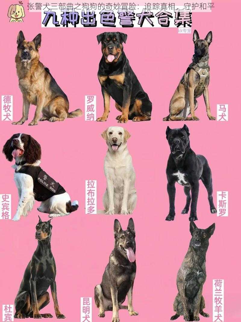 张警犬三部曲之狗狗的奇妙冒险：追踪真相，守护和平