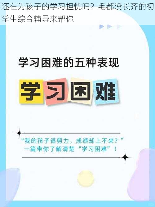 还在为孩子的学习担忧吗？毛都没长齐的初学生综合辅导来帮你