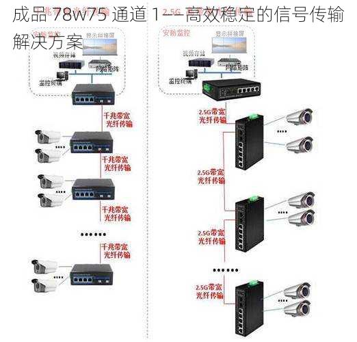 成品 78w75 通道 1——高效稳定的信号传输解决方案