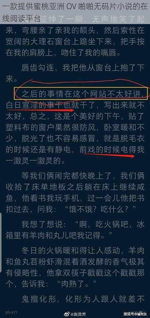 一款提供蜜桃亚洲 OV 啪啪无码片小说的在线阅读平台