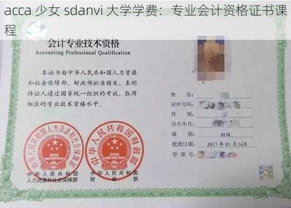 acca 少女 sdanvi 大学学费：专业会计资格证书课程