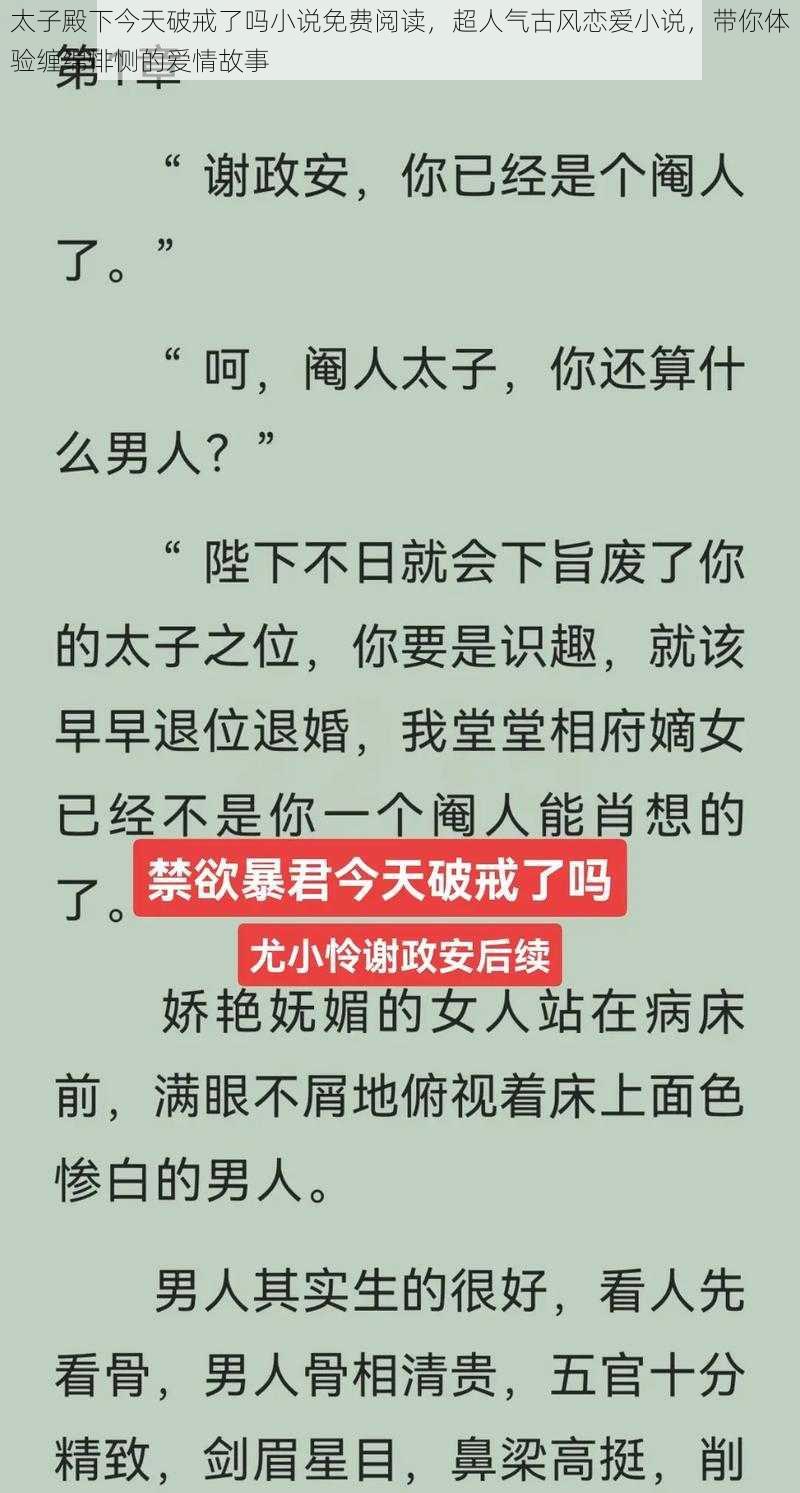 太子殿下今天破戒了吗小说免费阅读，超人气古风恋爱小说，带你体验缠绵悱恻的爱情故事