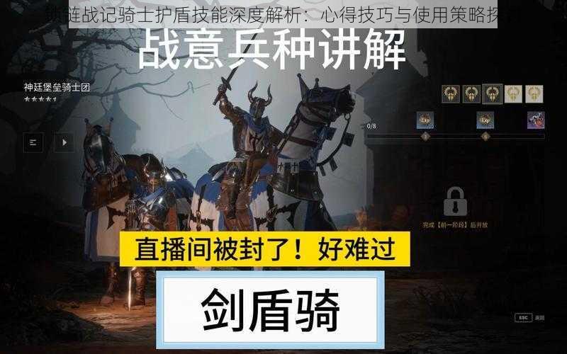 锁链战记骑士护盾技能深度解析：心得技巧与使用策略探讨