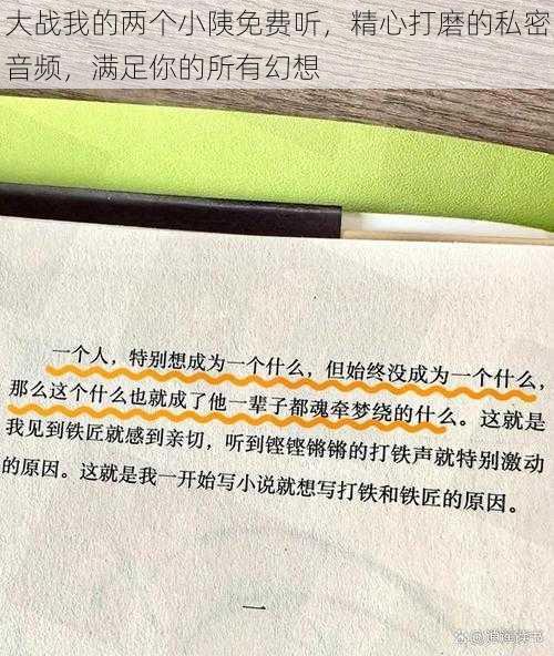 大战我的两个小䧅免费听，精心打磨的私密音频，满足你的所有幻想