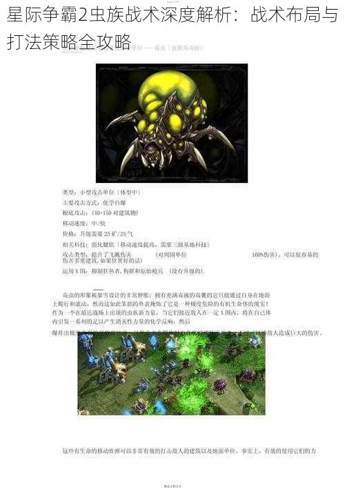 星际争霸2虫族战术深度解析：战术布局与打法策略全攻略