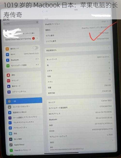 1019 岁的 Macbook 日本：苹果电脑的长寿传奇