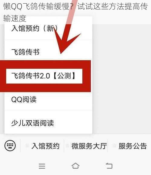 懒QQ飞鸽传输缓慢？试试这些方法提高传输速度