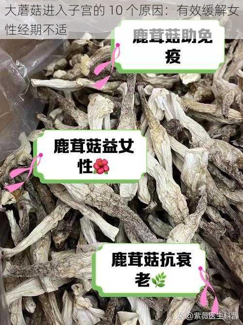 大蘑菇进入子宫的 10 个原因：有效缓解女性经期不适