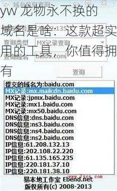 yw 龙物永不换的域名是啥：这款超实用的工具，你值得拥有