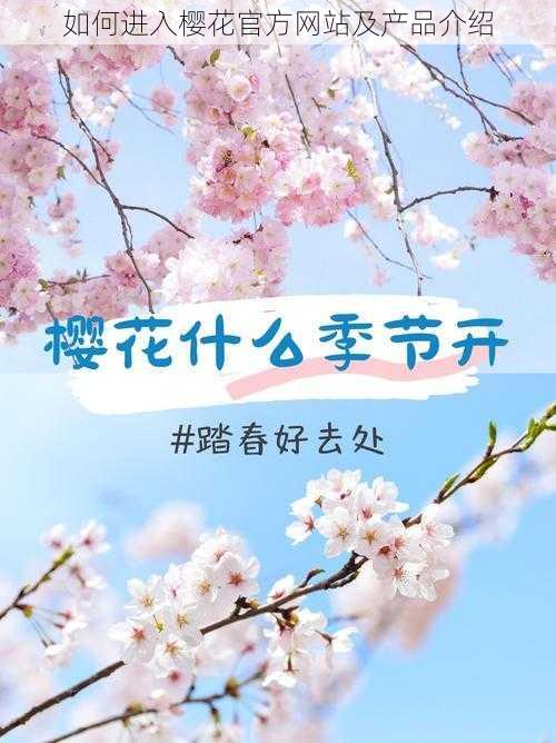 如何进入樱花官方网站及产品介绍