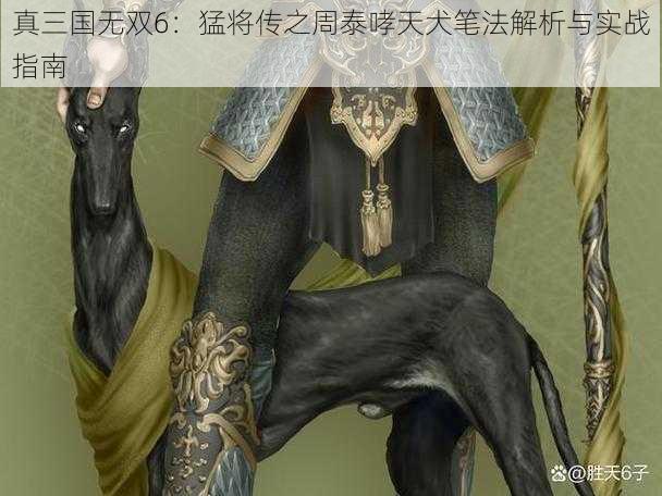 真三国无双6：猛将传之周泰哮天犬笔法解析与实战指南