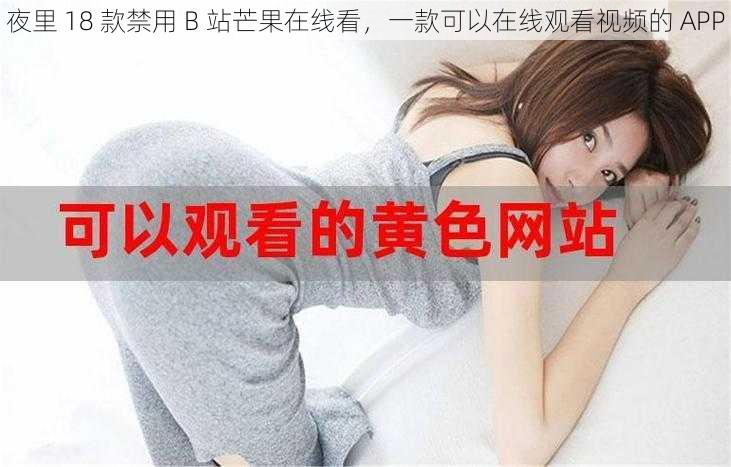 夜里 18 款禁用 B 站芒果在线看，一款可以在线观看视频的 APP