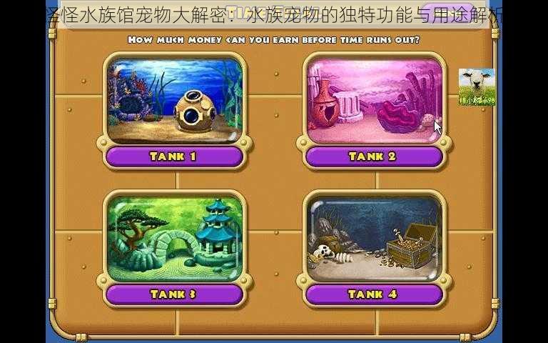 怪怪水族馆宠物大解密：水族宠物的独特功能与用途解析