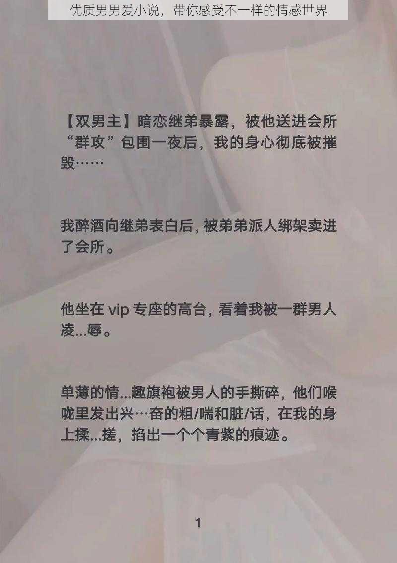 优质男男爱小说，带你感受不一样的情感世界