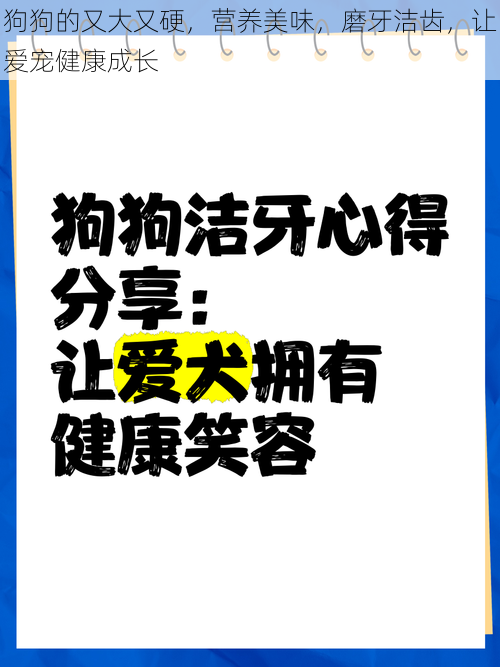 狗狗的又大又硬，营养美味，磨牙洁齿，让爱宠健康成长