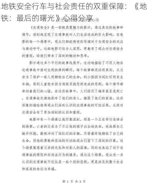 地铁安全行车与社会责任的双重保障：《地铁：最后的曙光》心得分享