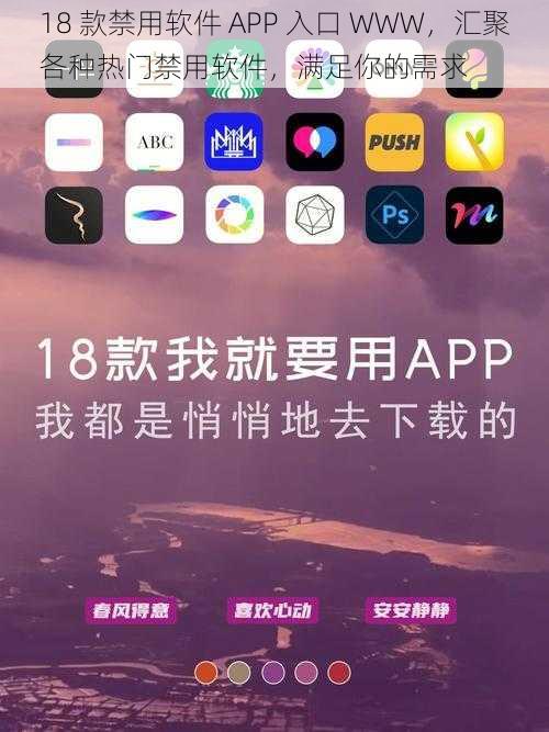 18 款禁用软件 APP 入口 WWW，汇聚各种热门禁用软件，满足你的需求