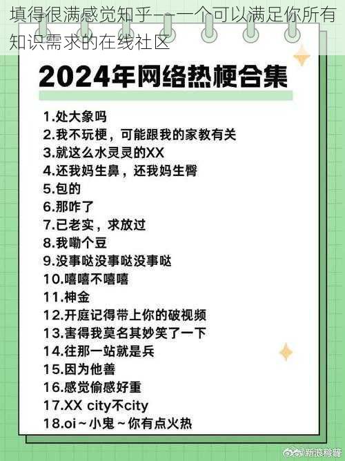 填得很满感觉知乎——一个可以满足你所有知识需求的在线社区