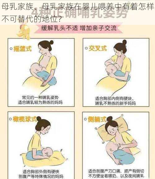 母乳家族、母乳家族在婴儿喂养中有着怎样不可替代的地位？