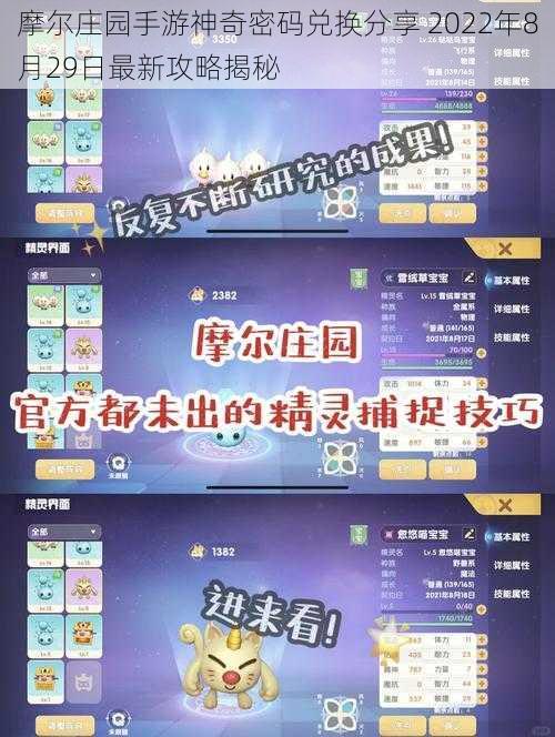 摩尔庄园手游神奇密码兑换分享 2022年8月29日最新攻略揭秘