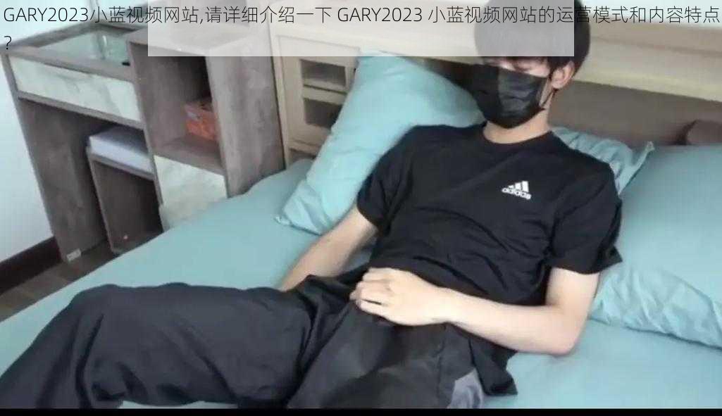 GARY2023小蓝视频网站,请详细介绍一下 GARY2023 小蓝视频网站的运营模式和内容特点？