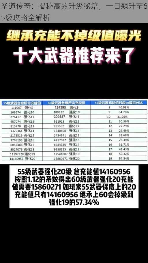 圣道传奇：揭秘高效升级秘籍，一日飙升至65级攻略全解析