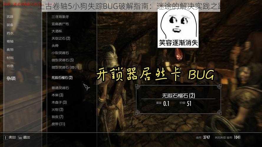 上古卷轴5小狗失踪BUG破解指南：迷途的解决实践之路