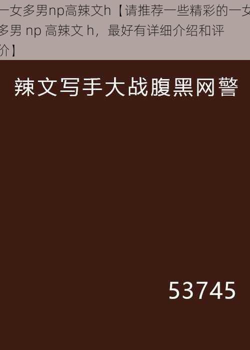 一女多男np高辣文h【请推荐一些精彩的一女多男 np 高辣文 h，最好有详细介绍和评价】