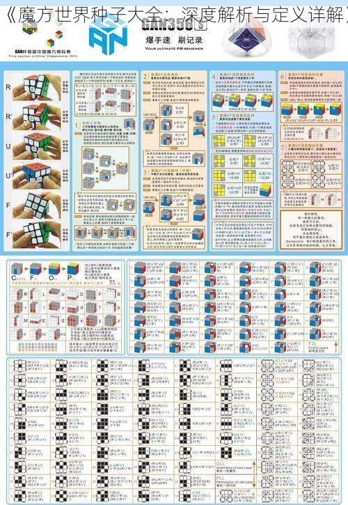 《魔方世界种子大全：深度解析与定义详解》