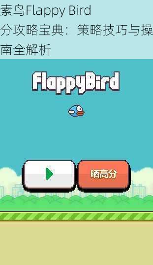 像素鸟Flappy Bird高分攻略宝典：策略技巧与操作指南全解析