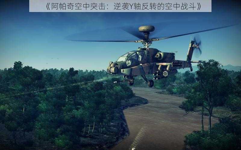 《阿帕奇空中突击：逆袭Y轴反转的空中战斗》