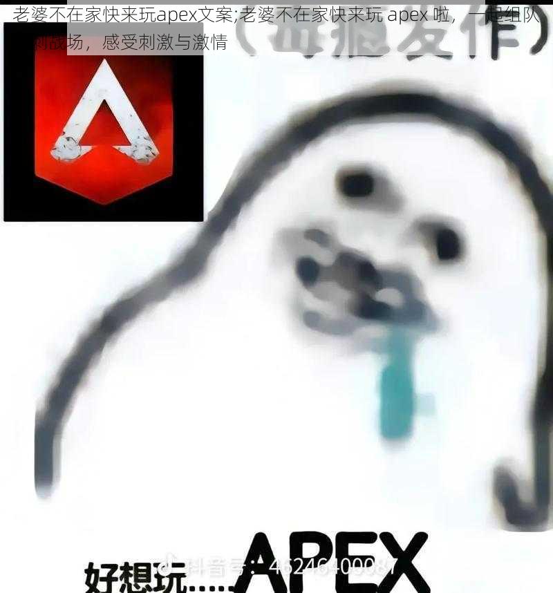 老婆不在家快来玩apex文案;老婆不在家快来玩 apex 啦，一起组队冲刺战场，感受刺激与激情