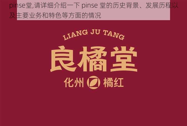 pinse堂,请详细介绍一下 pinse 堂的历史背景、发展历程以及主要业务和特色等方面的情况