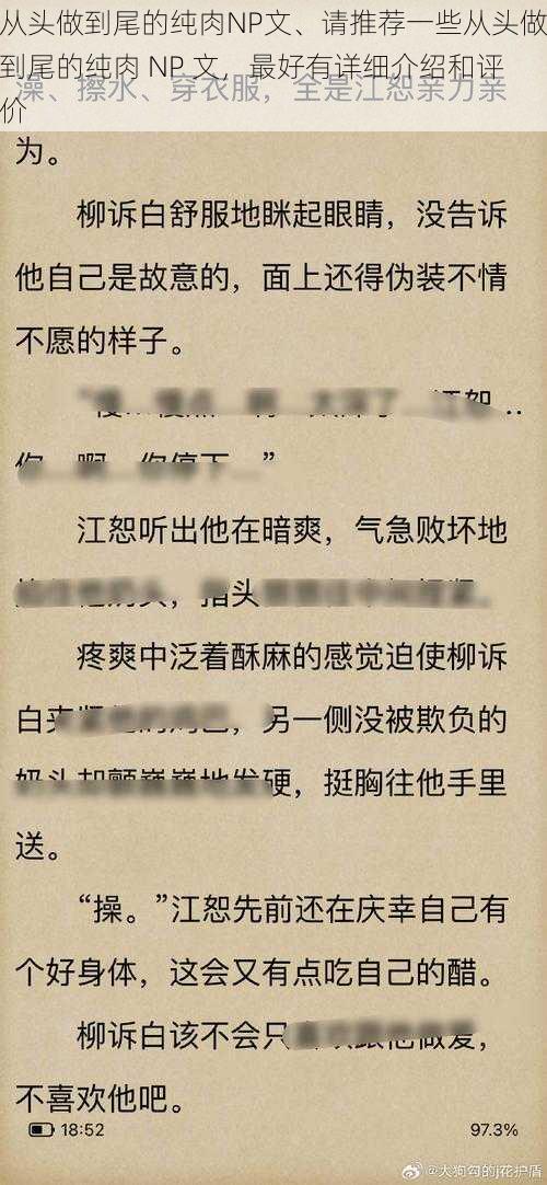 从头做到尾的纯肉NP文、请推荐一些从头做到尾的纯肉 NP 文，最好有详细介绍和评价