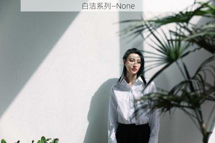 白洁系列—None