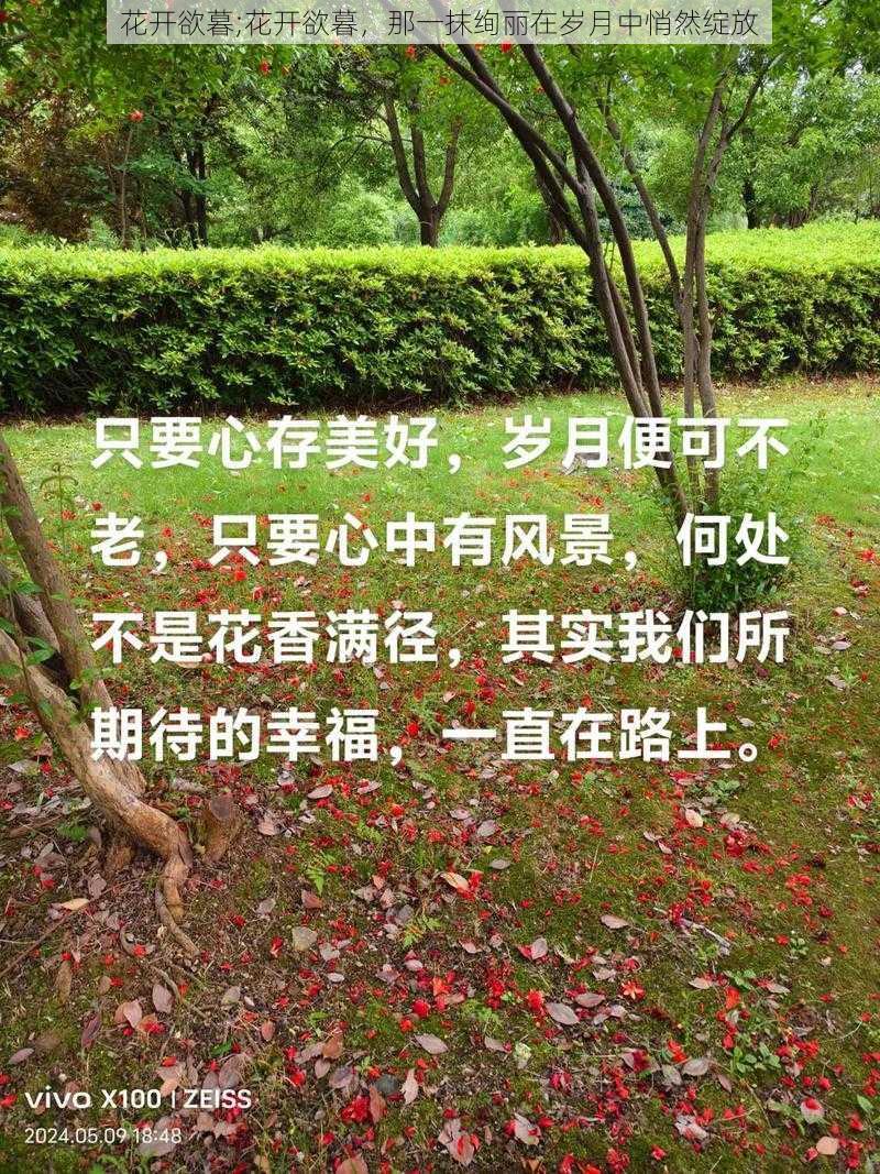 花开欲暮;花开欲暮，那一抹绚丽在岁月中悄然绽放