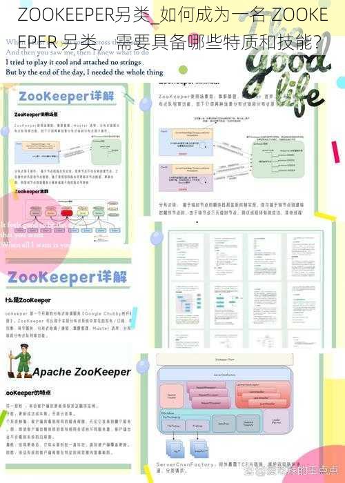 ZOOKEEPER另类_如何成为一名 ZOOKEEPER 另类，需要具备哪些特质和技能？