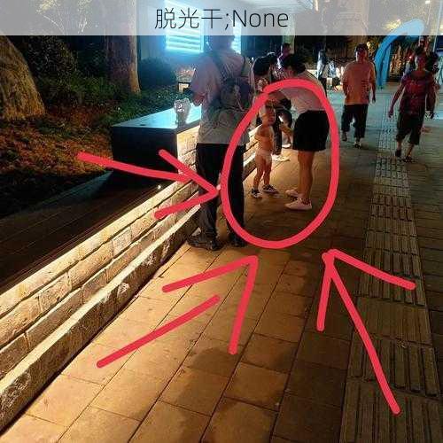 脱光干;None