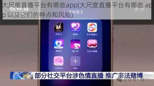 大尺度直播平台有哪些app(大尺度直播平台有哪些 app 以及它们的特点和风险)