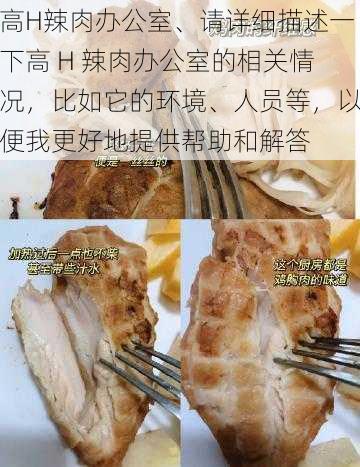 高H辣肉办公室、请详细描述一下高 H 辣肉办公室的相关情况，比如它的环境、人员等，以便我更好地提供帮助和解答