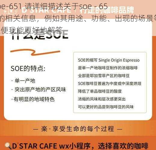 soe-651 请详细描述关于soe - 651的相关信息，例如其用途、功能、出现的场景等，以便我能更好地解答