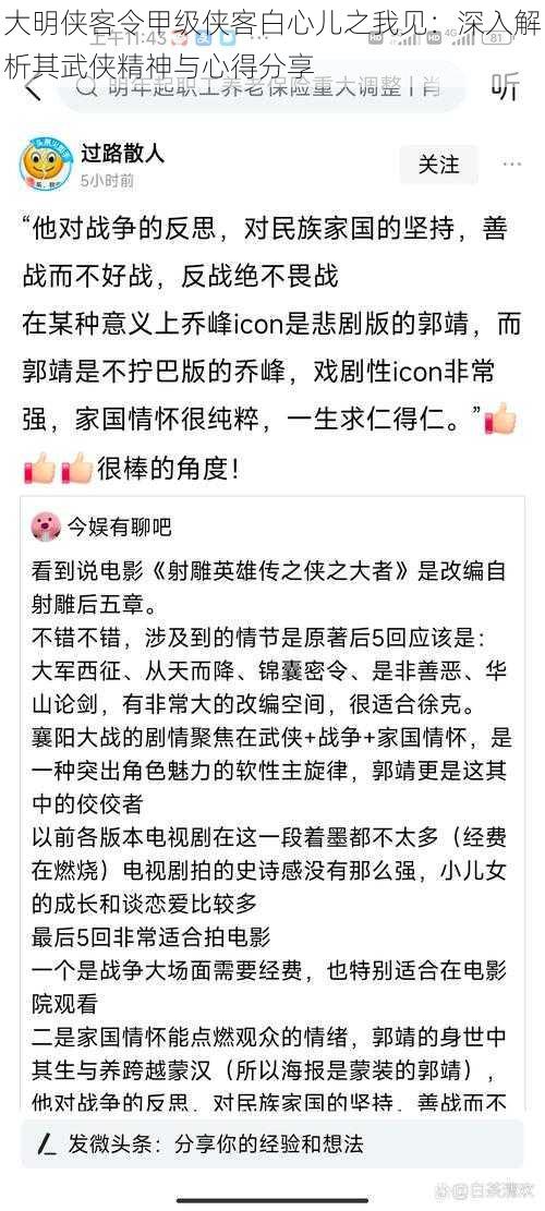 大明侠客令甲级侠客白心儿之我见：深入解析其武侠精神与心得分享