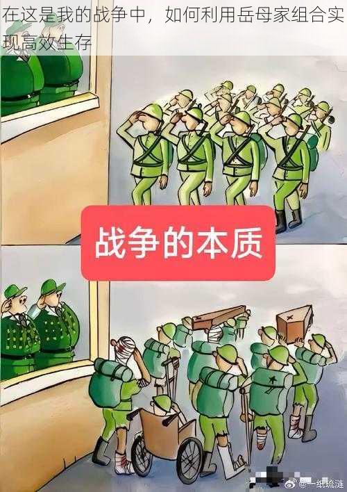 在这是我的战争中，如何利用岳母家组合实现高效生存