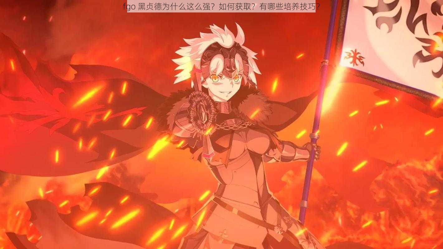 fgo 黑贞德为什么这么强？如何获取？有哪些培养技巧？