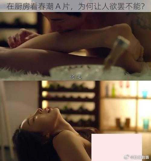 在厨房看春潮 A 片，为何让人欲罢不能？