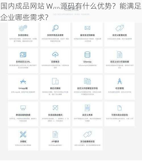 国内成品网站 W灬源码有什么优势？能满足企业哪些需求？